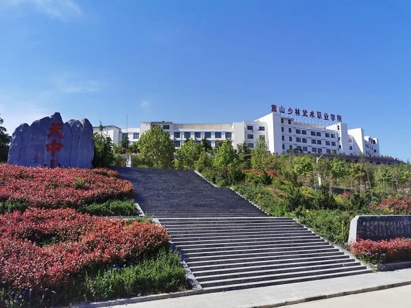 嵩山少林武术职业学院