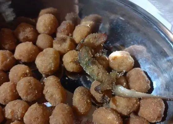 三只松鼠被曝吃出油炸壁虎！