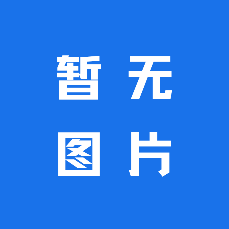 安巡代驾