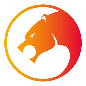猎豹安全浏览器