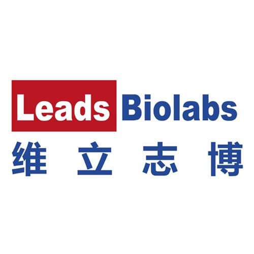 维立志博