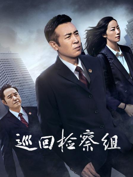 巡回检察组