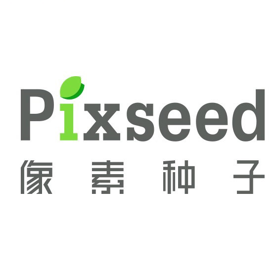 像素种子