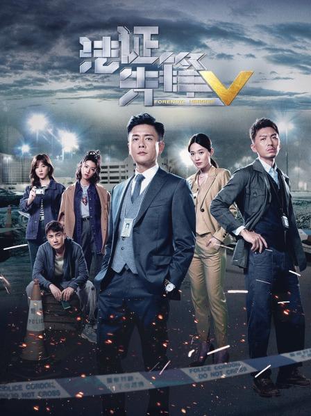 法证先锋5
