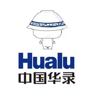 中国华录