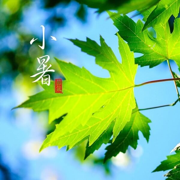 小暑