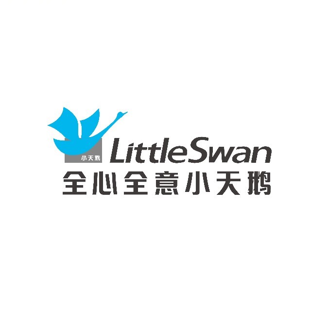 小天鹅