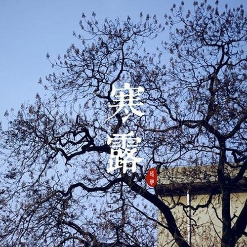 寒露