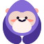 聚星直播
