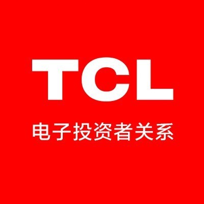TCL电子控股有限公司