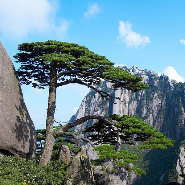 黄山风景区